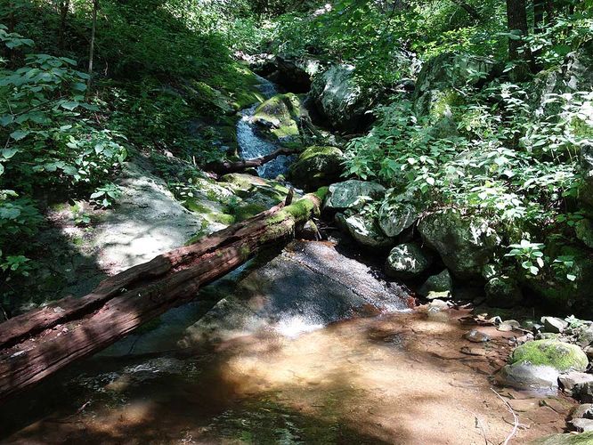 Picture 5 of Little Devils Stairs Hike 072916