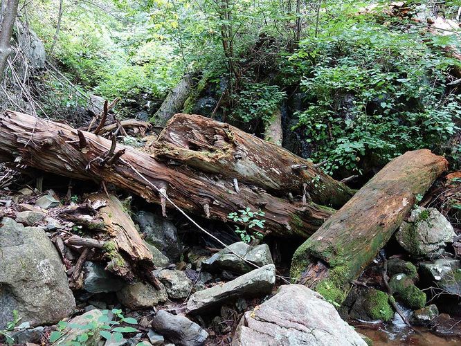 Picture 6 of Little Devils Stairs Hike 072916