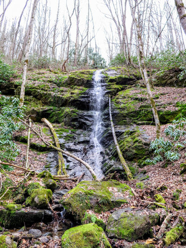 Picture 7 of Little Fall Branch Falls Hike 021917