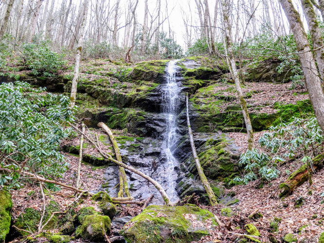 Default image for Little Fall Branch Falls Hike, a 0.5-mile trail in Joe, NC (US)