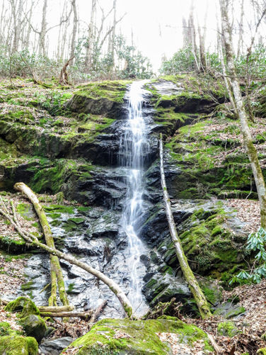 Picture 8 of Little Fall Branch Falls Hike 021917