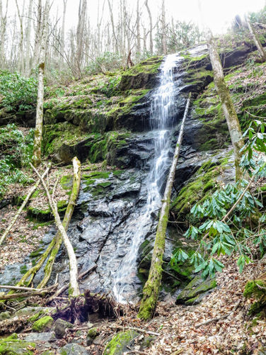 Picture 9 of Little Fall Branch Falls Hike 021917