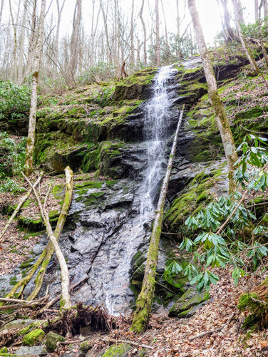 Picture 10 of Little Fall Branch Falls Hike 021917
