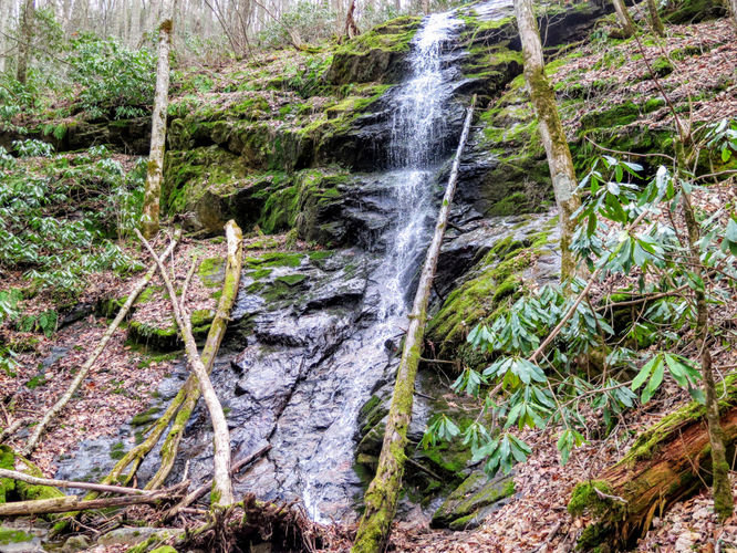 Picture 11 of Little Fall Branch Falls Hike 021917