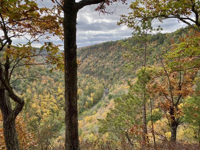 Little Jax Rock Overlook - view of Pine Creek Gorge (PA Grand Canyon)