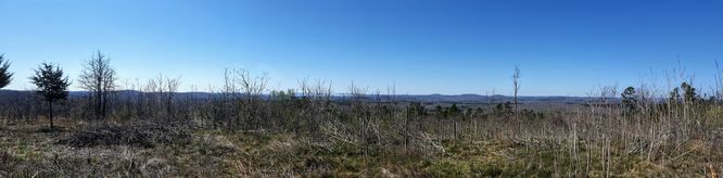 Picture 2 of Little Long Mountain Hike 031617