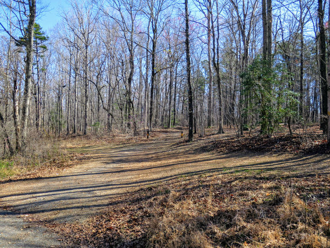 Picture 3 of Little Long Mountain Hike 031617