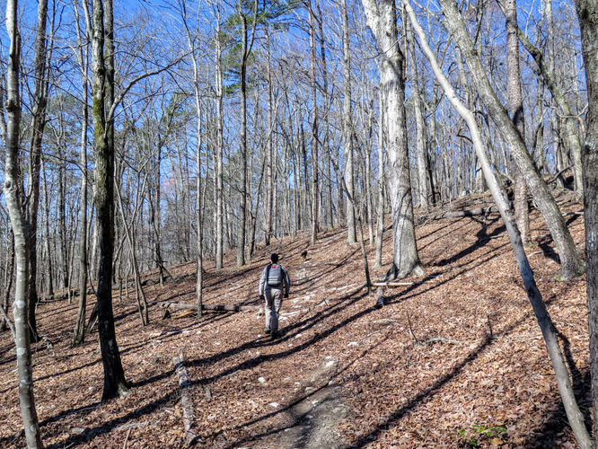 Picture 4 of Little Long Mountain Hike 031617