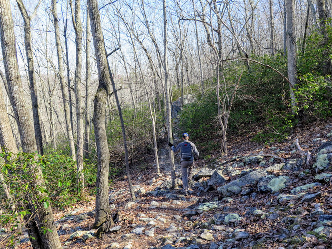Picture 5 of Little Long Mountain Hike 031617