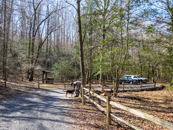 Picture 6 of Little Long Mountain Hike 031617