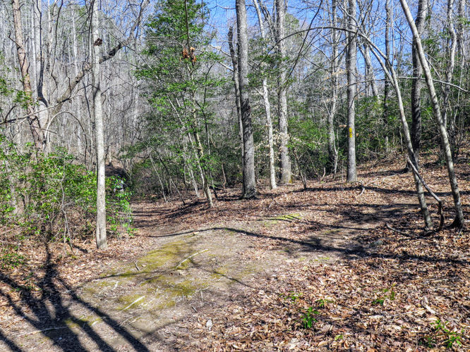 Picture 11 of Little Long Mountain Hike 031617
