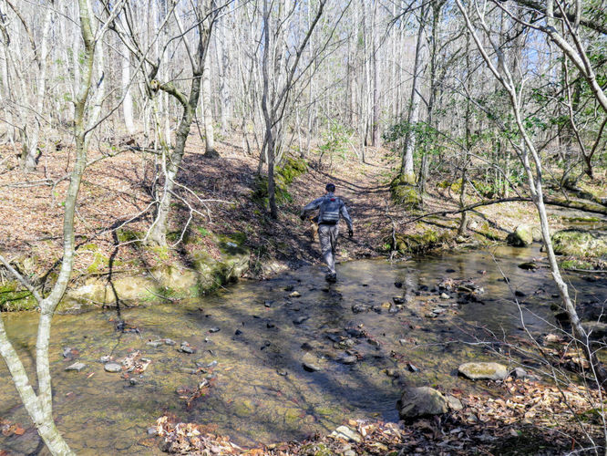 Picture 12 of Little Long Mountain Hike 031617