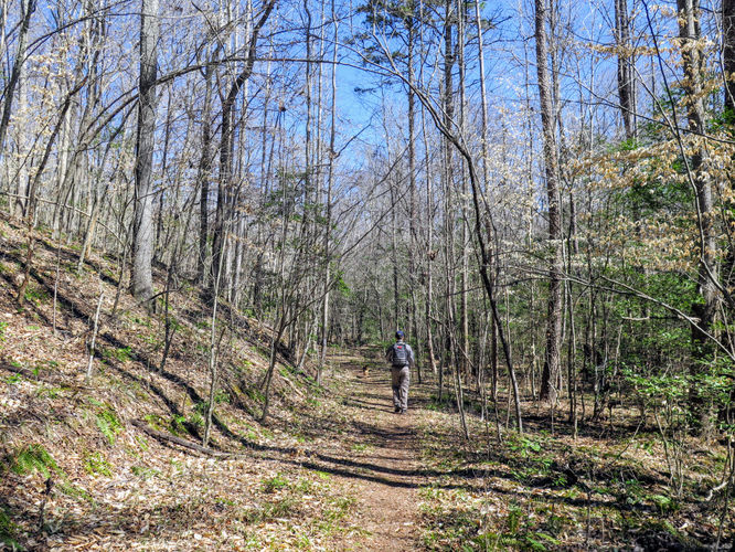 Picture 15 of Little Long Mountain Hike 031617