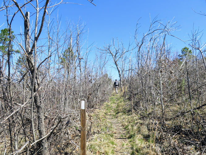 Picture 18 of Little Long Mountain Hike 031617
