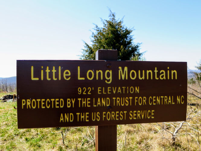 Picture 20 of Little Long Mountain Hike 031617