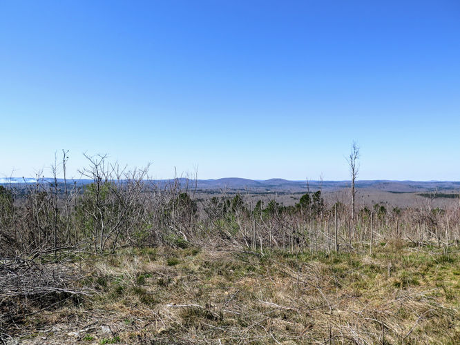 Default image for Little Long Mountain Hike, a 12.0-mile trail in Troy, NC (US)