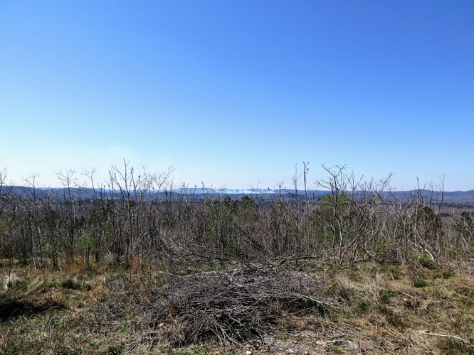 Picture 25 of Little Long Mountain Hike 031617