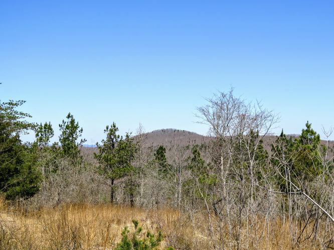 Picture 26 of Little Long Mountain Hike 031617