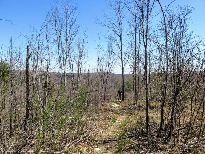 Picture 27 of Little Long Mountain Hike 031617