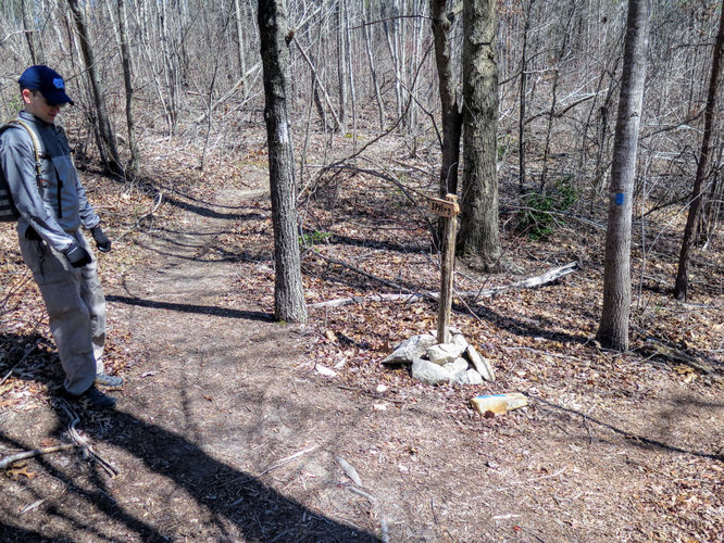 Picture 28 of Little Long Mountain Hike 031617