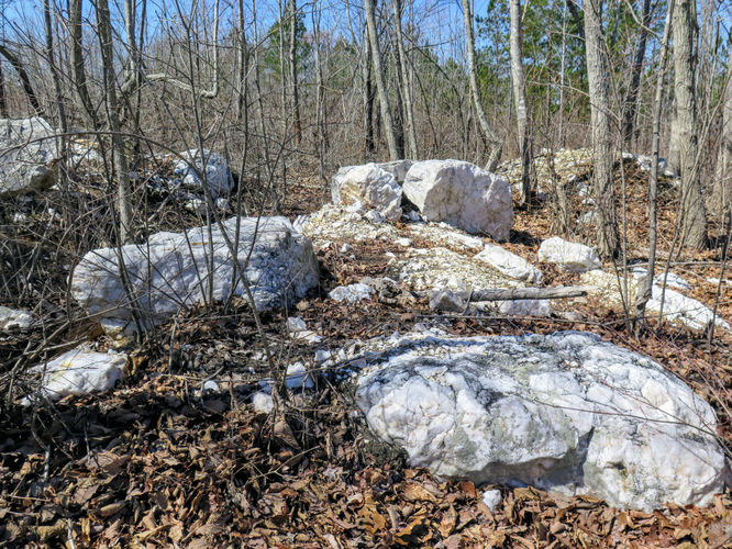 Picture 29 of Little Long Mountain Hike 031617