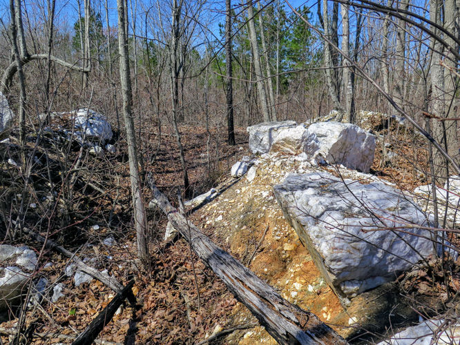 Picture 30 of Little Long Mountain Hike 031617