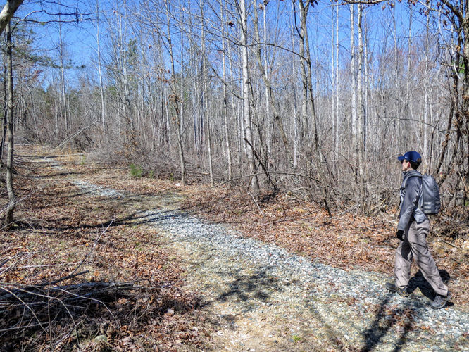 Picture 31 of Little Long Mountain Hike 031617