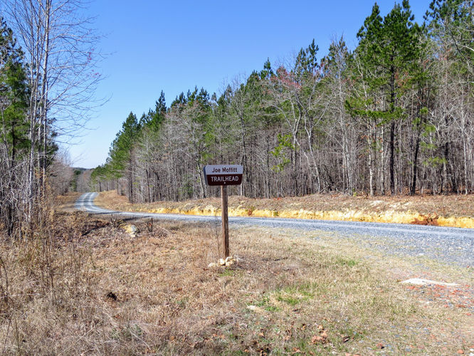 Picture 33 of Little Long Mountain Hike 031617