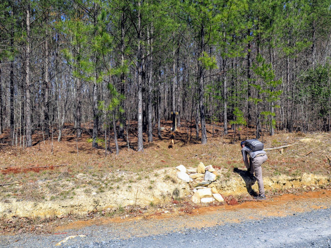 Picture 34 of Little Long Mountain Hike 031617