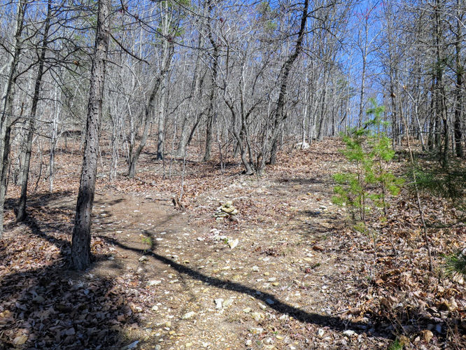 Picture 35 of Little Long Mountain Hike 031617