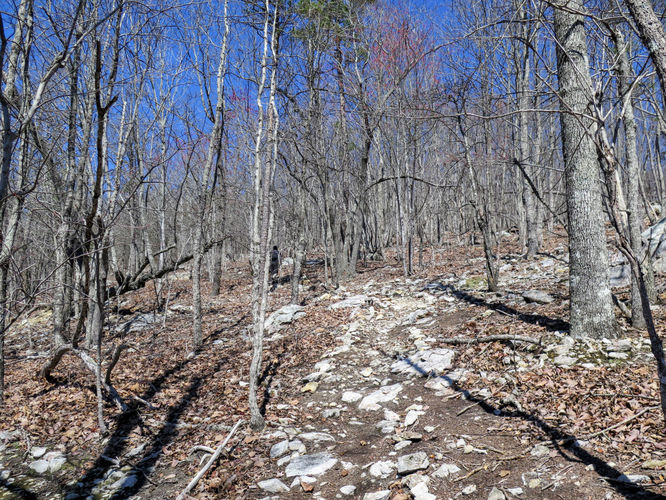 Picture 36 of Little Long Mountain Hike 031617