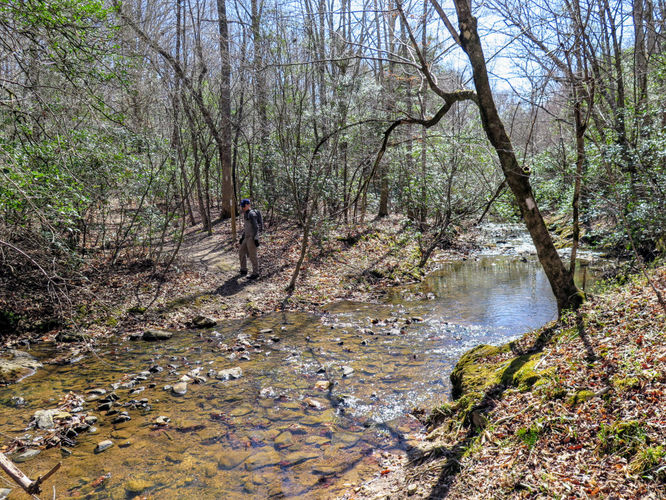 Picture 40 of Little Long Mountain Hike 031617