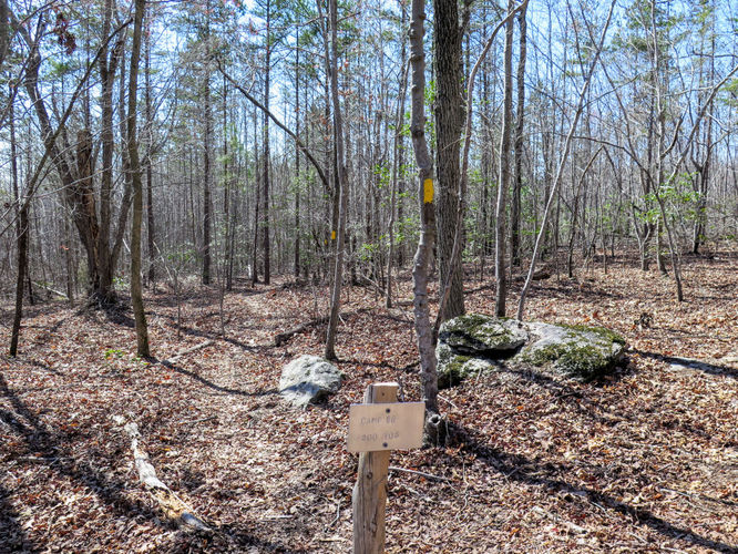 Picture 41 of Little Long Mountain Hike 031617
