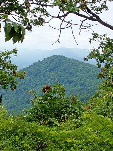 Default image for Little Passage Creek Hike, a 9.5-mile trail in Fort Valley, VA (US)