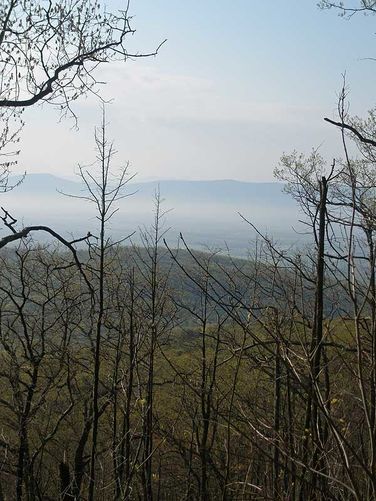 Picture 32 of Little Schloss Hike 042608