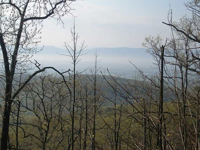 Picture 33 of Little Schloss Hike 042608