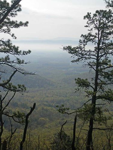 Picture 34 of Little Schloss Hike 042608