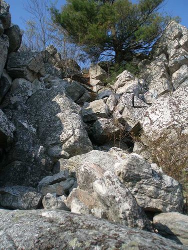 Picture 28 of Little Schloss Hike 042608