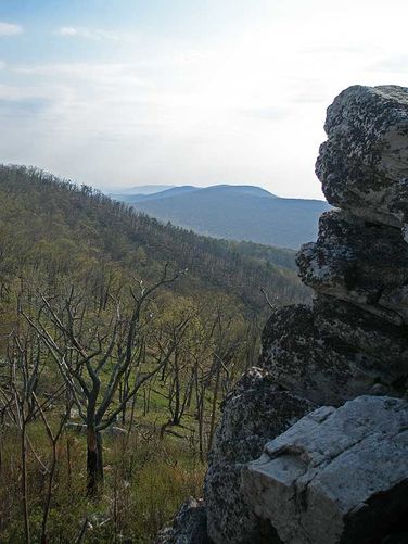 Picture 21 of Little Schloss Hike 042608