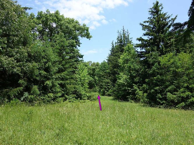 Picture 3 of Little Schloss Hike 053015