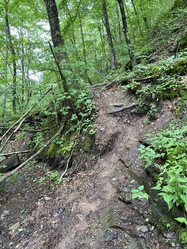 Steep muddy trail