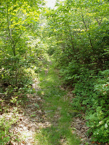 Picture 13 of Little Sluice Hike 070403