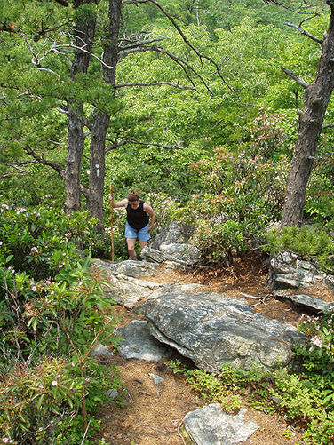 Picture 15 of Little Sluice Hike 070403