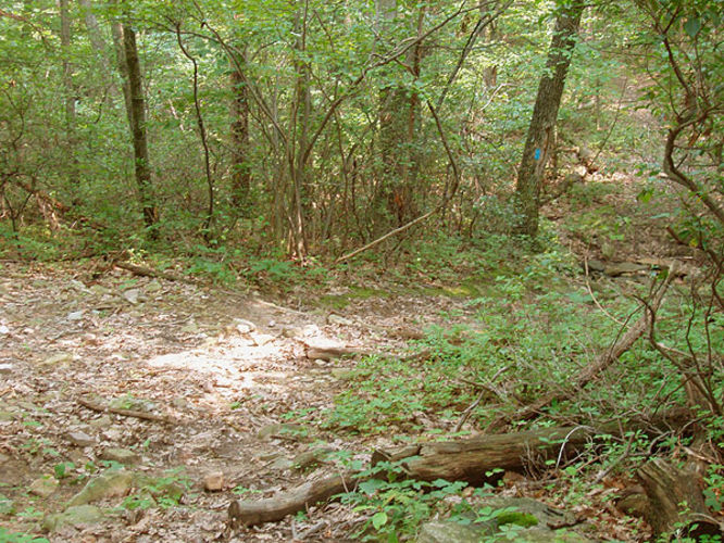 Picture 22 of Little Sluice Hike 070403