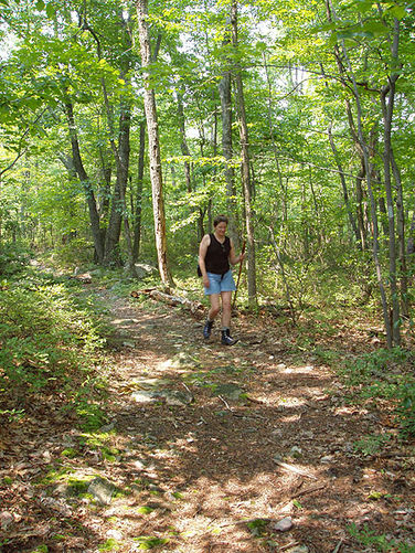 Picture 24 of Little Sluice Hike 070403