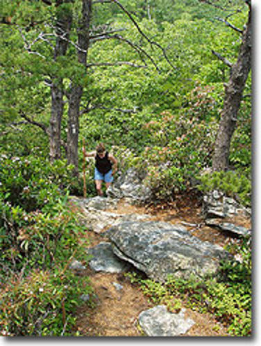 Picture 6 of Little Sluice Hike 070403