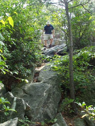 Picture 4 of Little Sluice Hike 073104