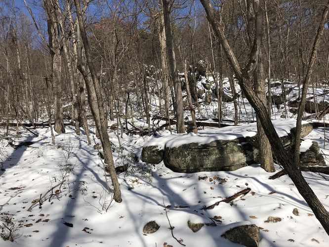 Picture 2 of Little Sluice Hike 111618