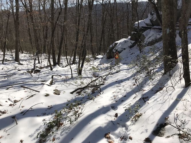 Picture 3 of Little Sluice Hike 111618