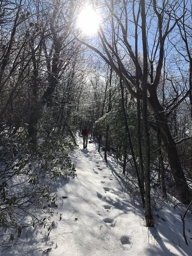 Picture 5 of Little Sluice Hike 111618